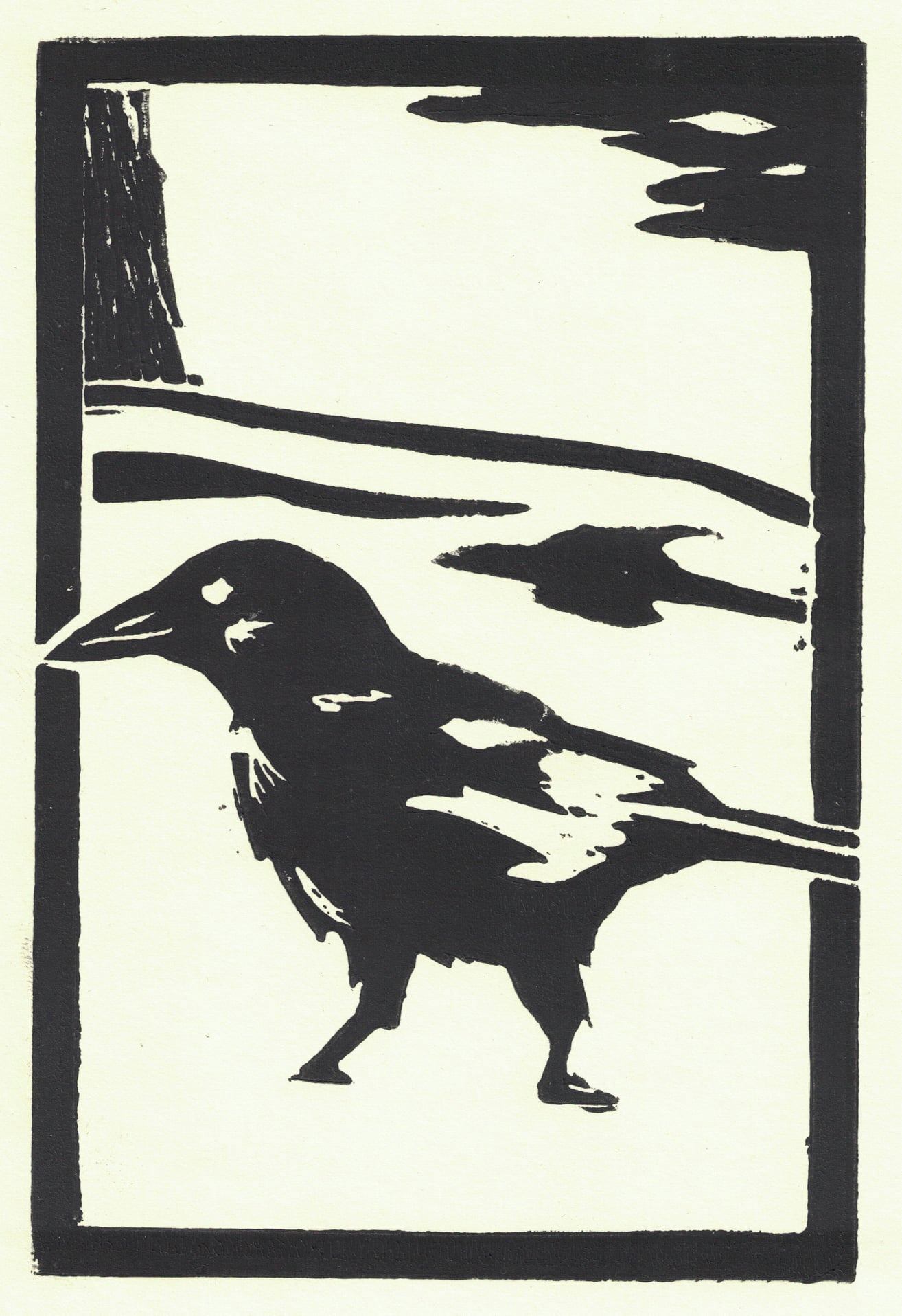 Clive Tesar "Snow Crow #1"