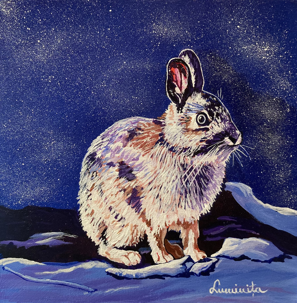 Luminita Serbanescu "Bunny Under The Stars"