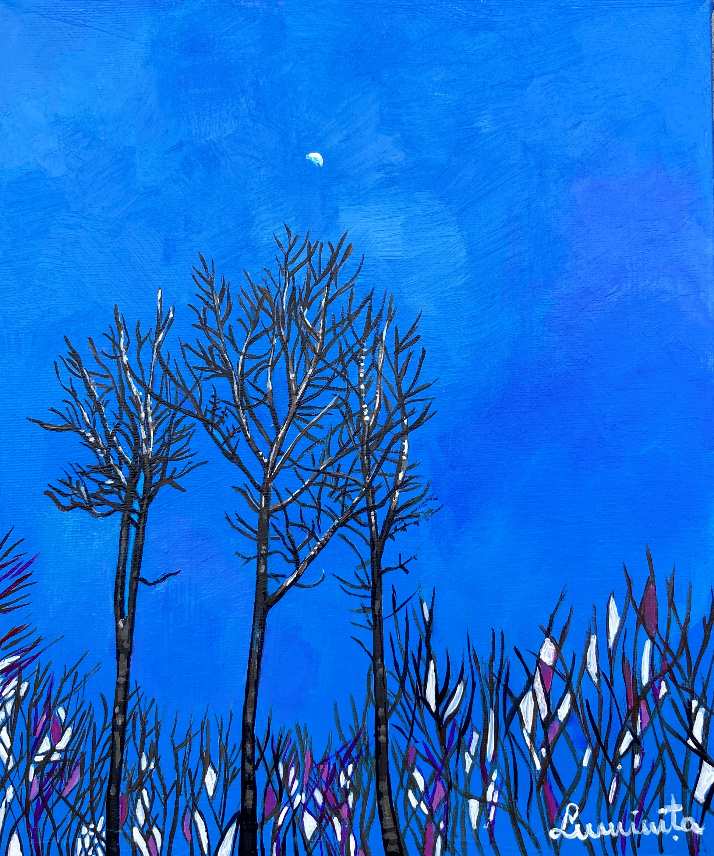 Luminita Serbanescu "Fairy Lights"