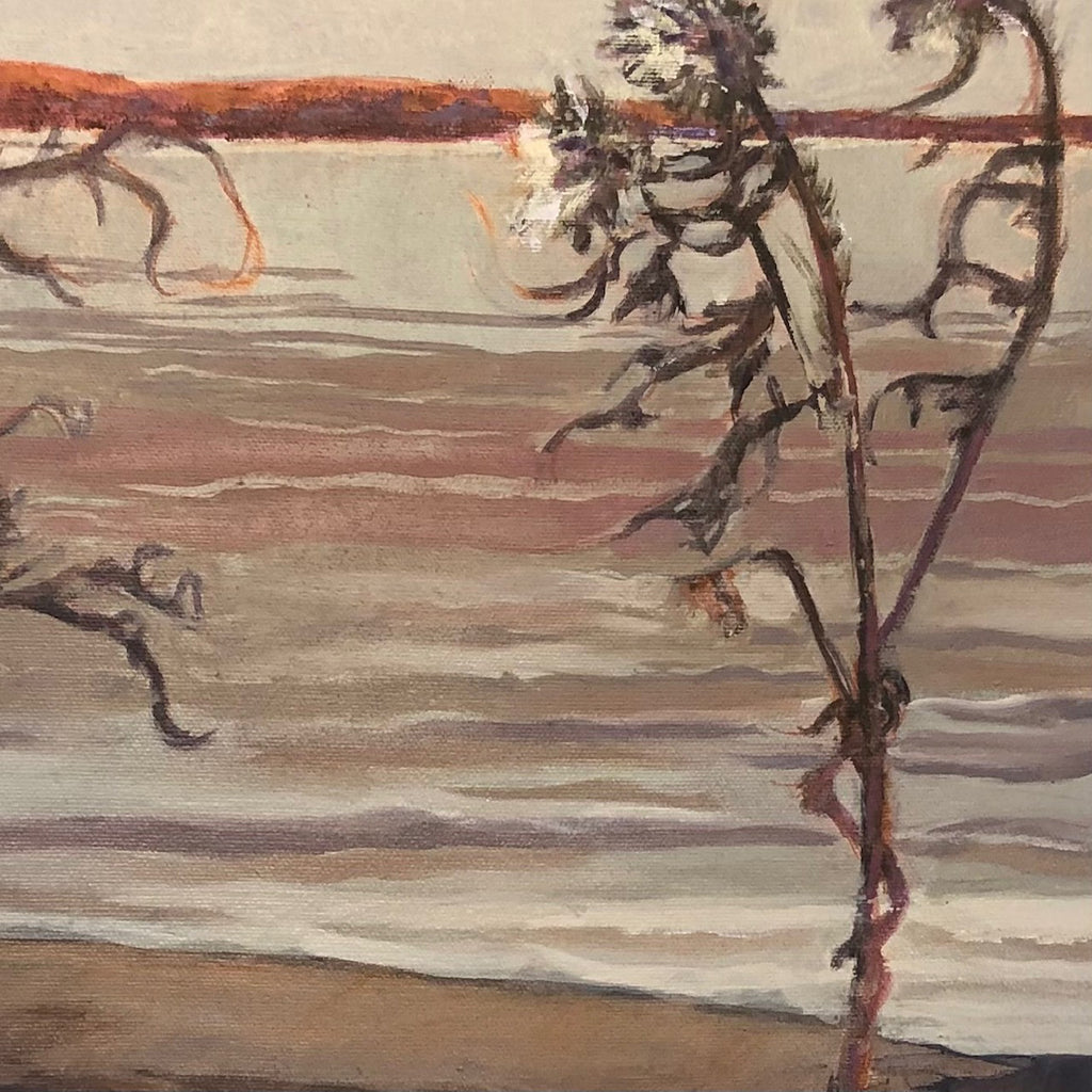 Jay Anderson "Lake Clear 1"