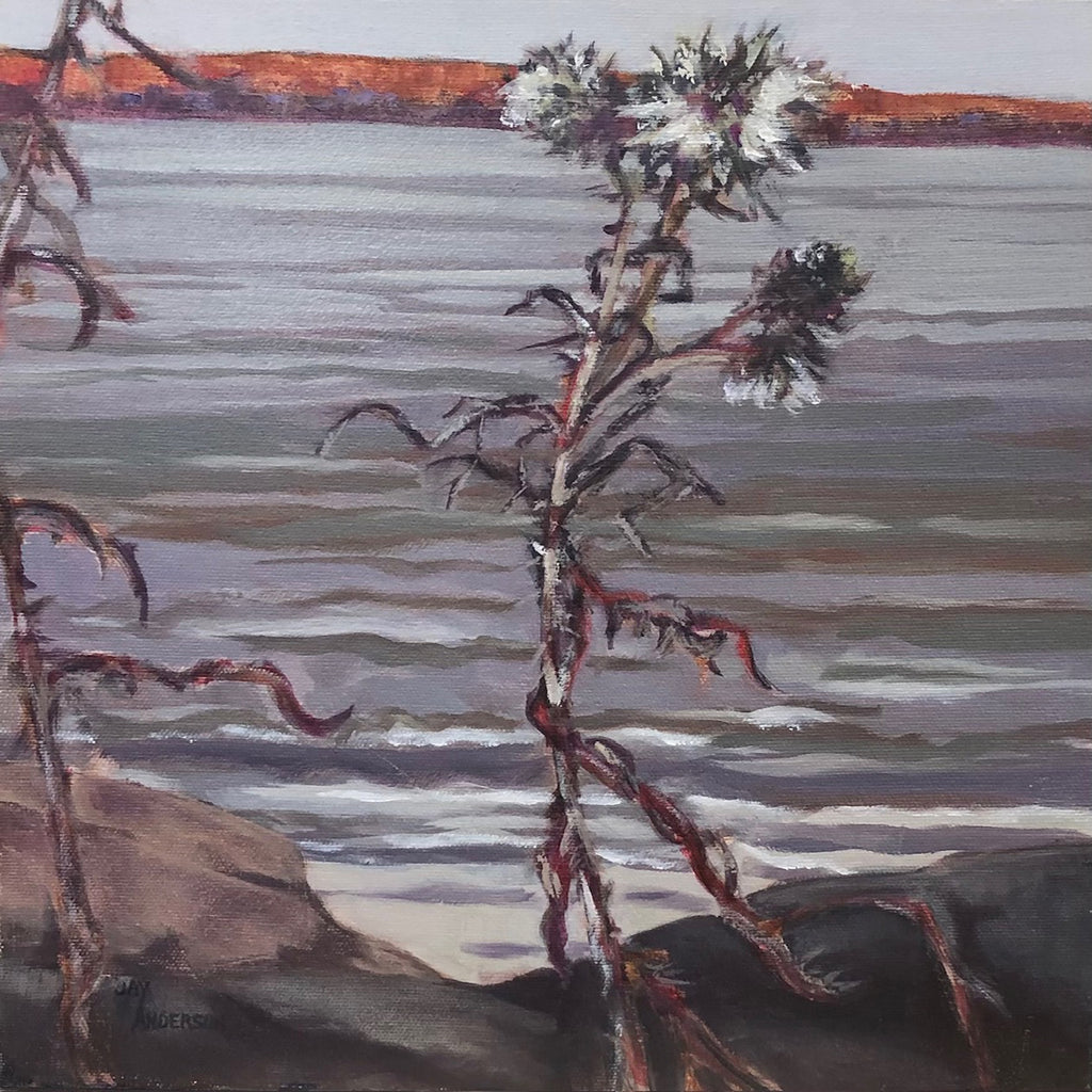 Jay Anderson "Lake Clear 2"