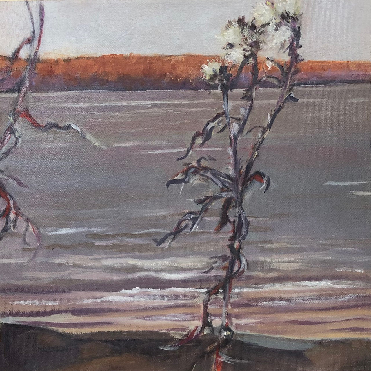 Jay Anderson "Lake Clear 3"