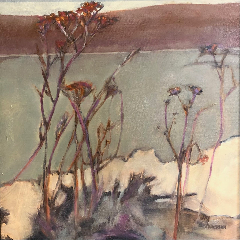 Jay Anderson "Lake Clear Rainy Day"