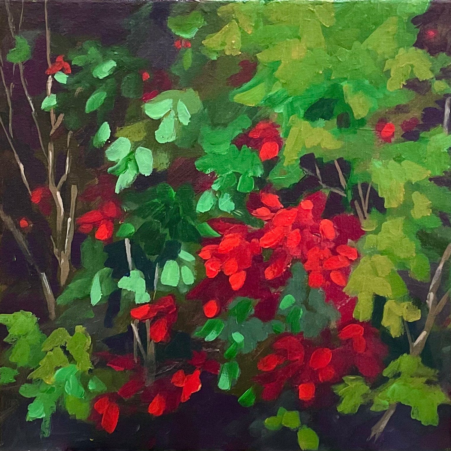 Pina Manoni-Rennick "Sparkling Light"