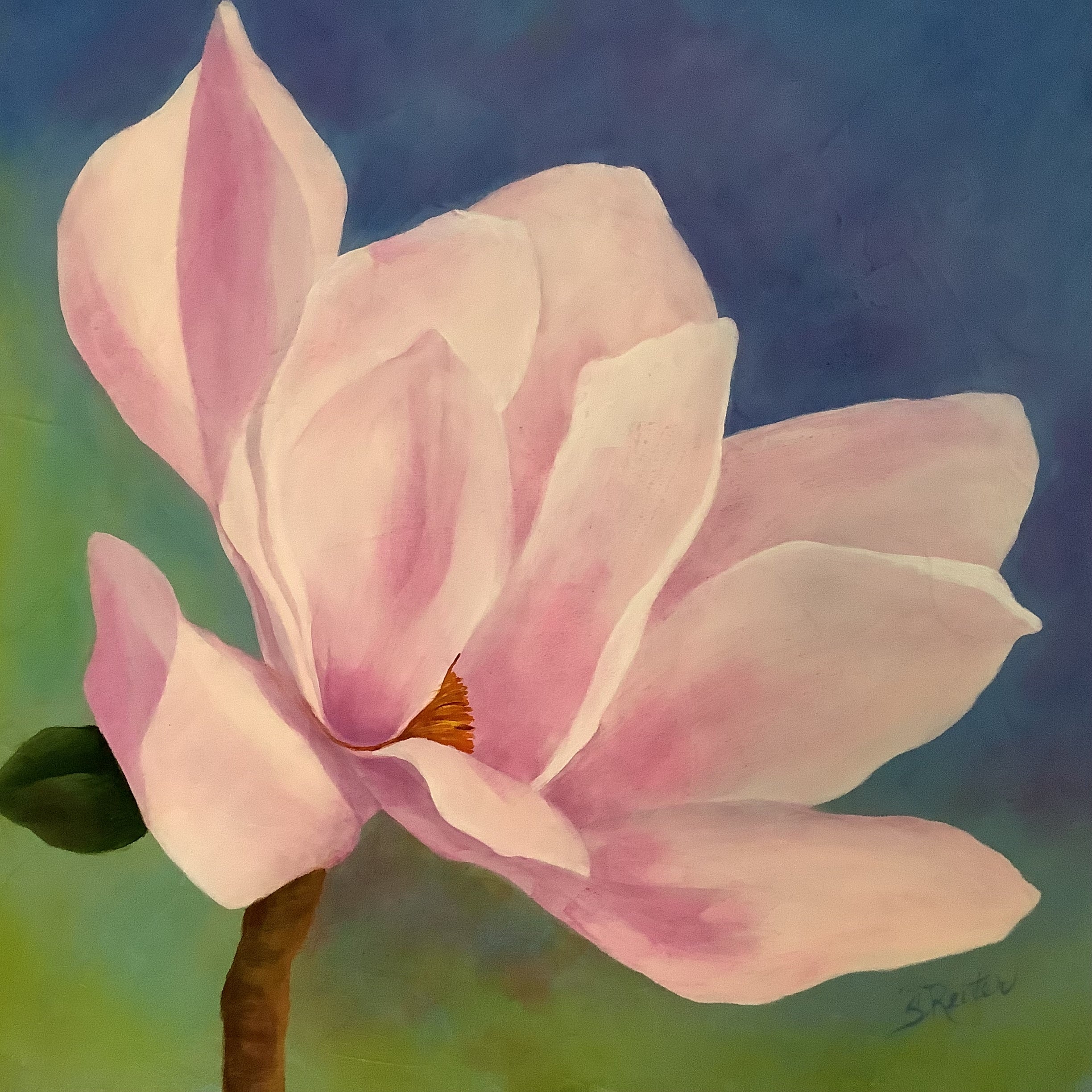 Susan Reiter "Pink Magnolia"