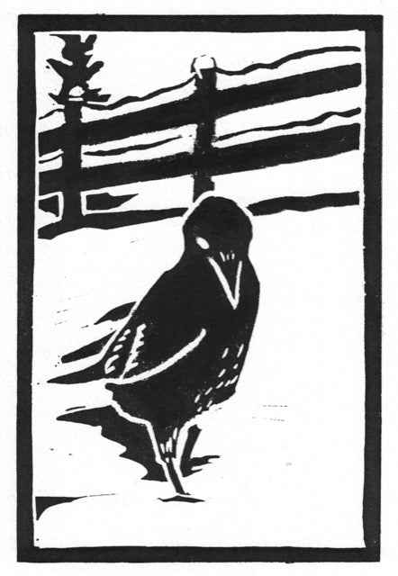 Clive Tesar "Snow Crow #2"