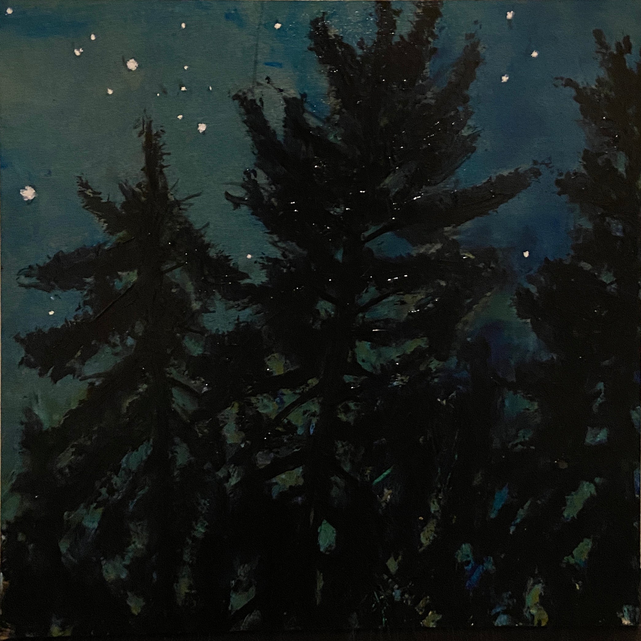 Nocturne Pines, Round Lake