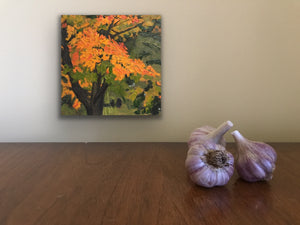 Lisa Baldwin "Maple Tree In Autumn"