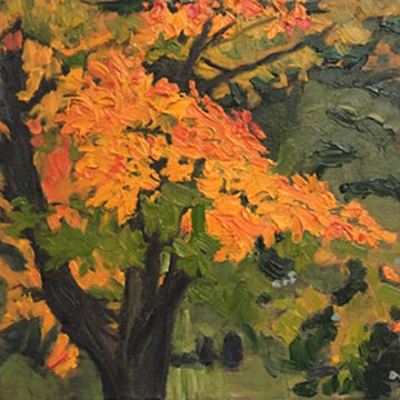 Lisa Baldwin "Maple Tree In Autumn"