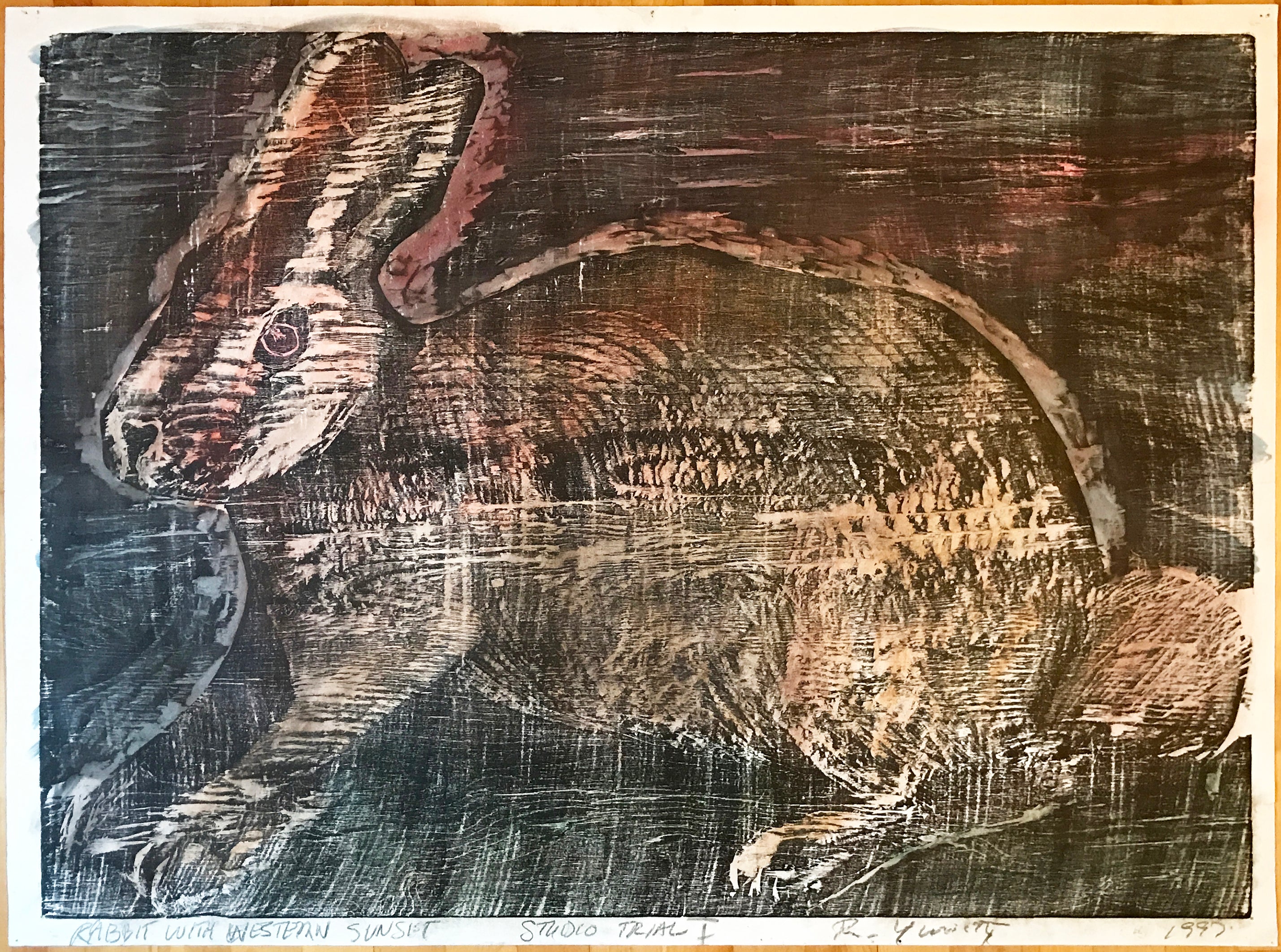 Rabbit With Western Sunset