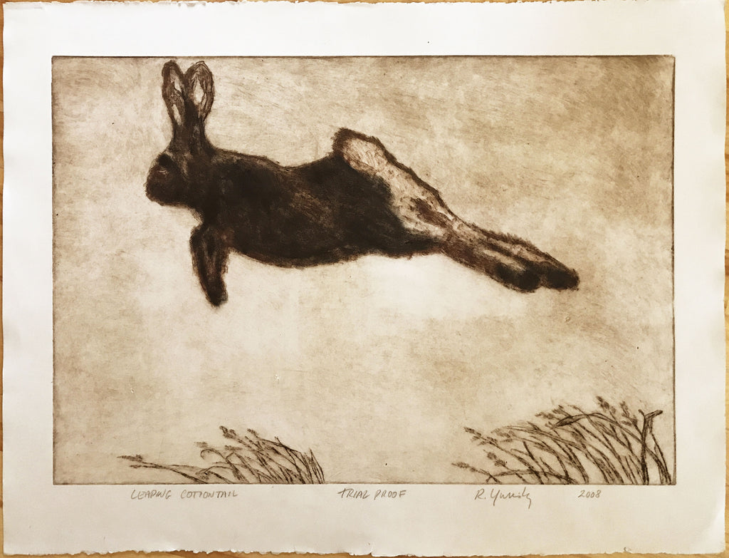 Leaping Cottontail (Brown and Black)