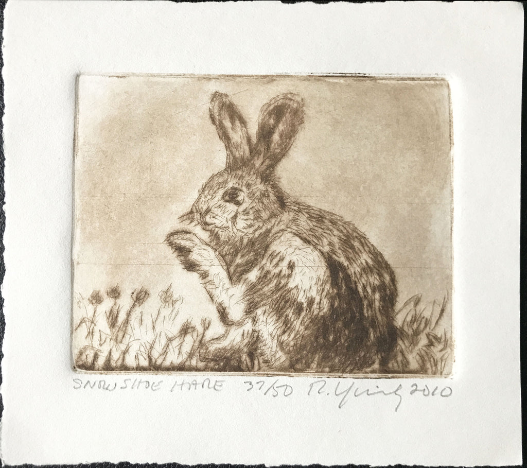 Russell Yuristy "Snowshoe Hare"